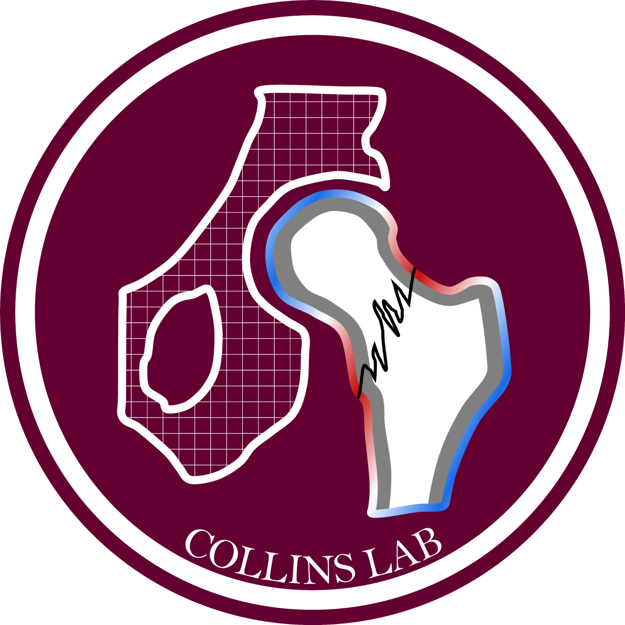 Collins Lab Logo